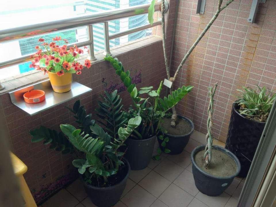 Appartement Jia Jia House à Kaohsiung Extérieur photo